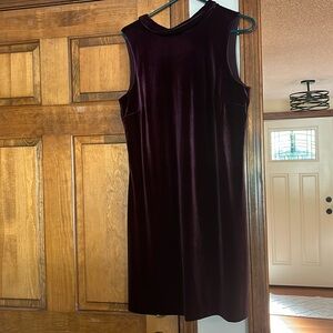 Beautiful Ann Taylor Factory burgundy velvet dress